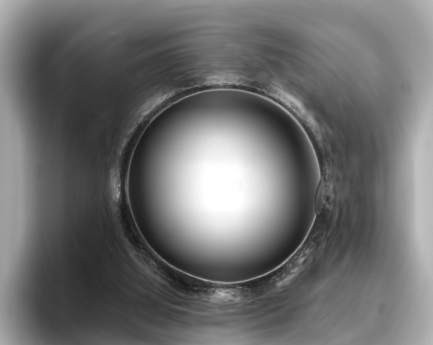 X0000096710060200802051430