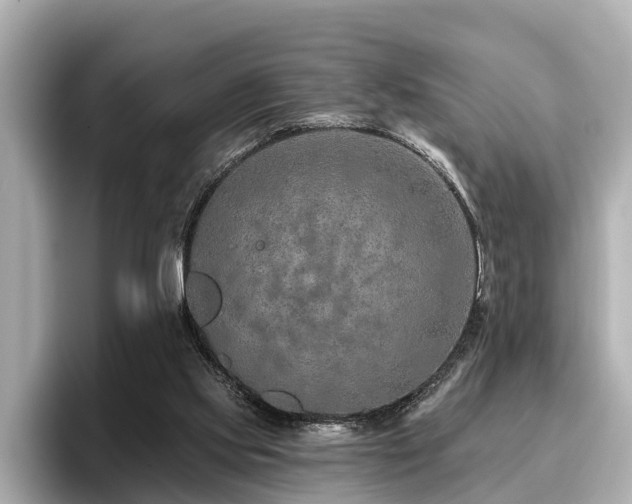 X0000096710061200802051430