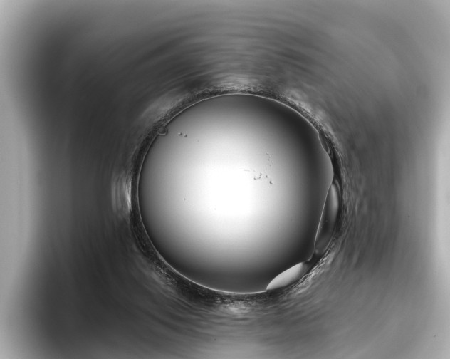 X0000096710062200802051430