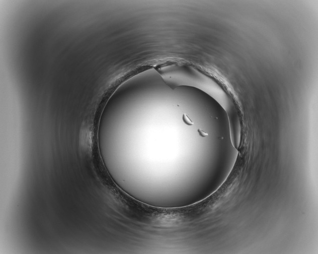 X0000096710063200802051430