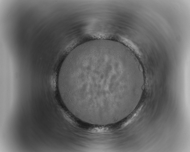 X0000096710065200802051430