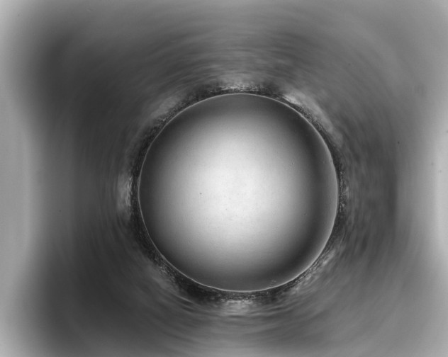 X0000096710066200802051430