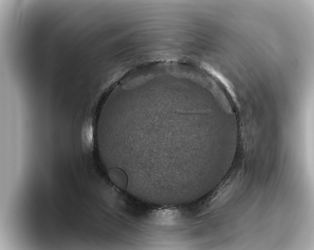 X0000096710067200802051430