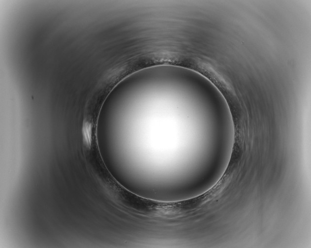 X0000096710070200802051430