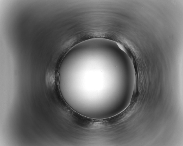 X0000096710072200802051430