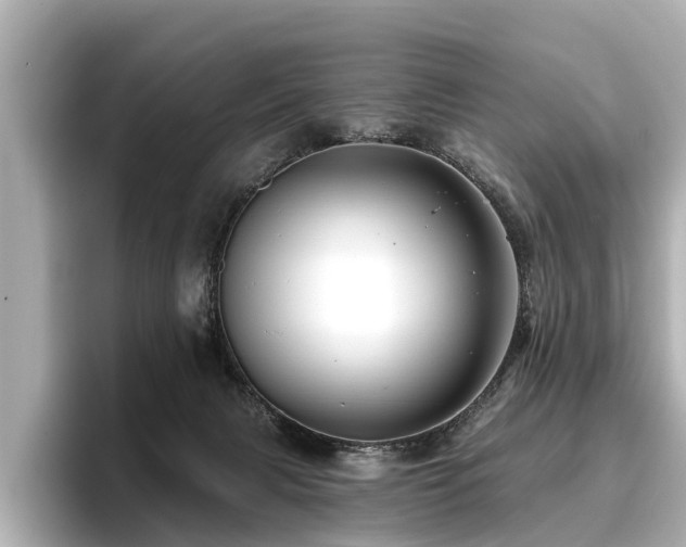 X0000096710079200802051430