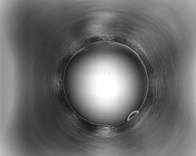 X0000096710083200802051431