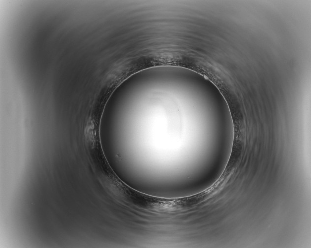 X0000096710086200802051431