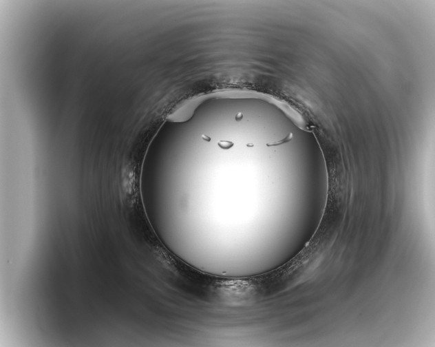 X0000096710087200802051431