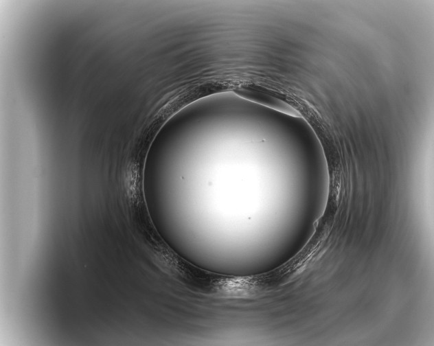 X0000096710092200802051431