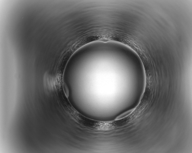 X0000096710093200802051431