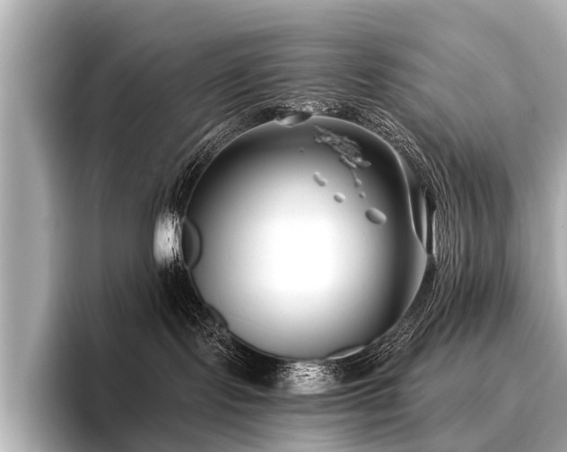 X0000096710095200802051431