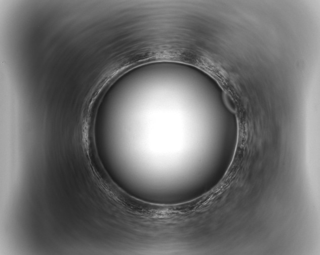 X0000096710098200802051430