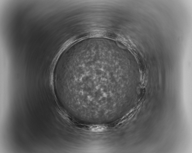 X0000096710099200802051430