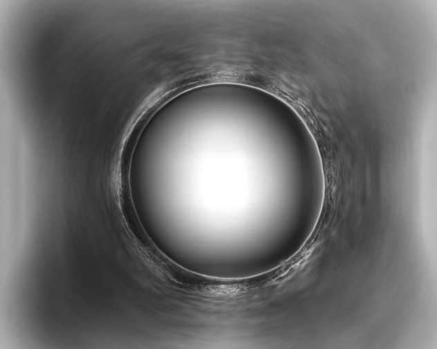 X0000096710102200802051430