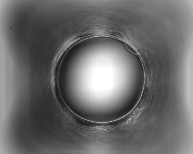 X0000096710103200802051430