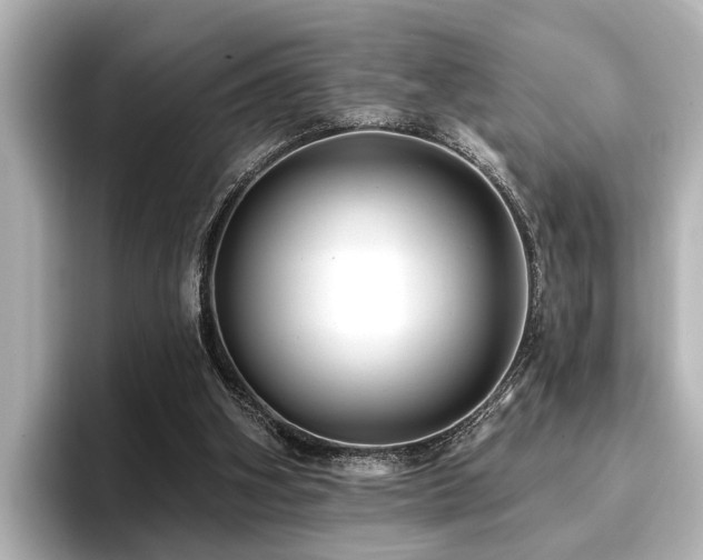 X0000096710106200802051430