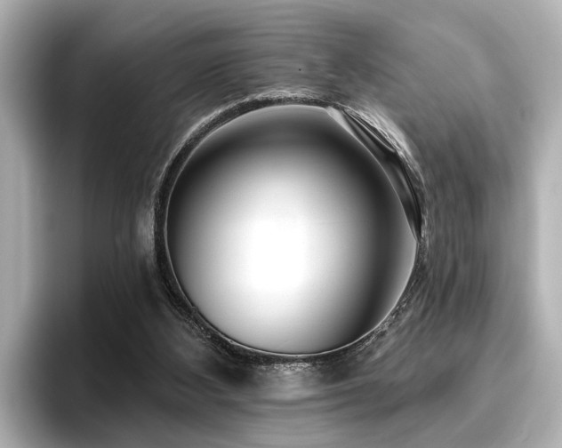 X0000096710108200802051430