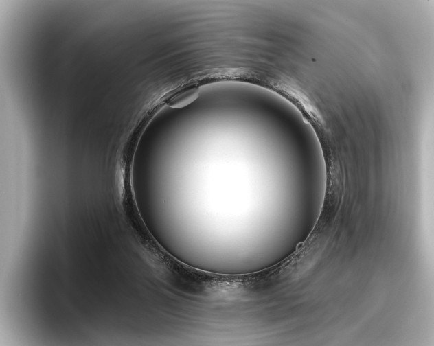 X0000096710110200802051430