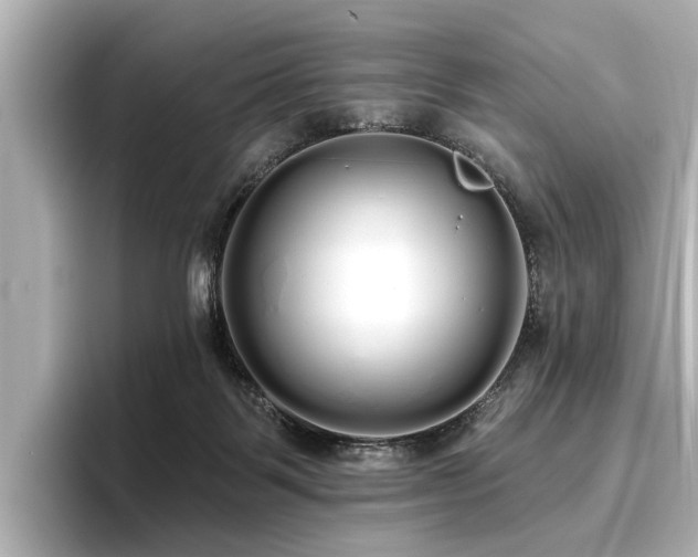 X0000096710123200802051430