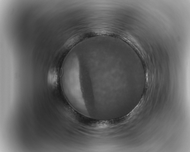 X0000096710124200802051430