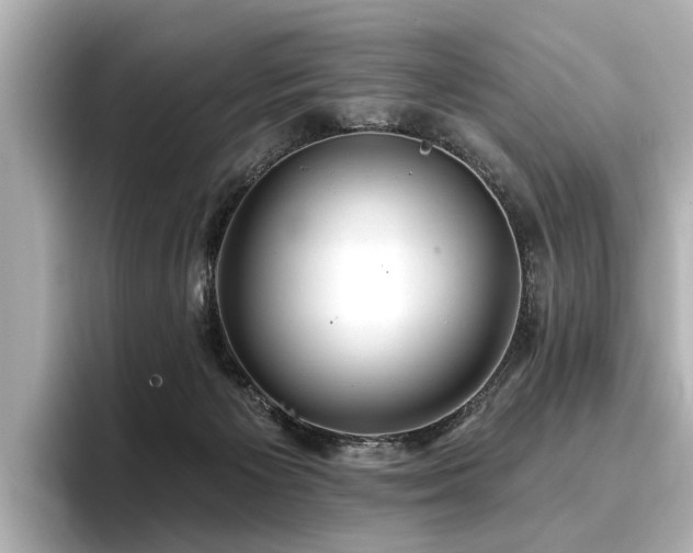 X0000096710125200802051430