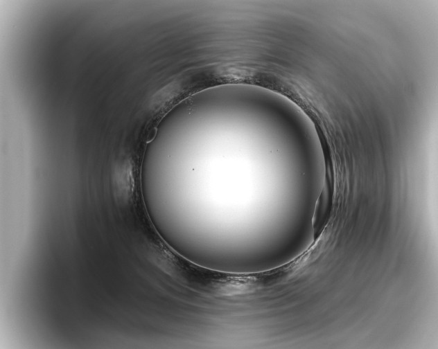 X0000096710128200802051429