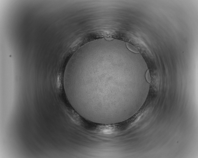 X0000096710131200802051429