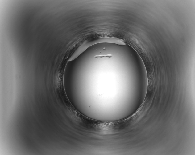 X0000096710136200802051429