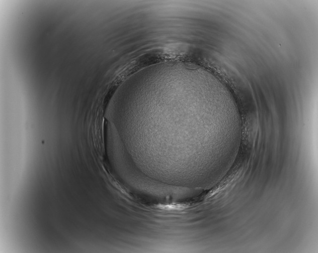 X0000096710137200802051429