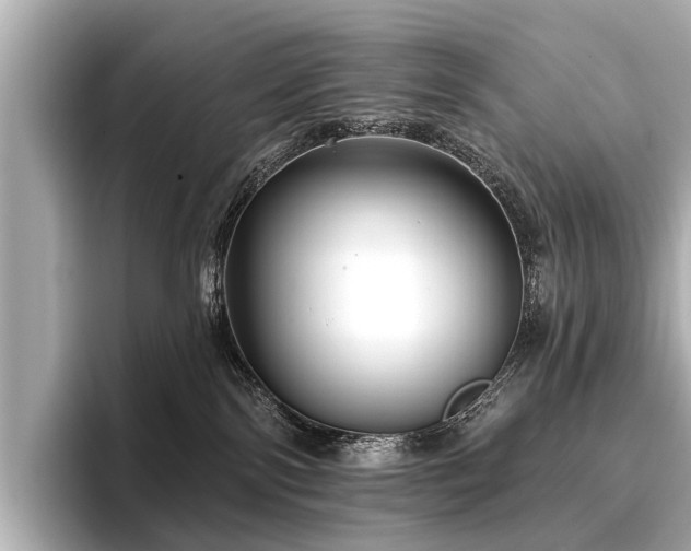 X0000096710138200802051429