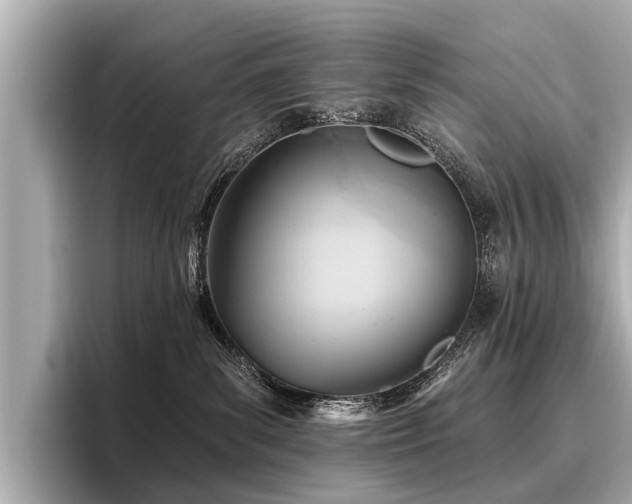 X0000096710139200802051429