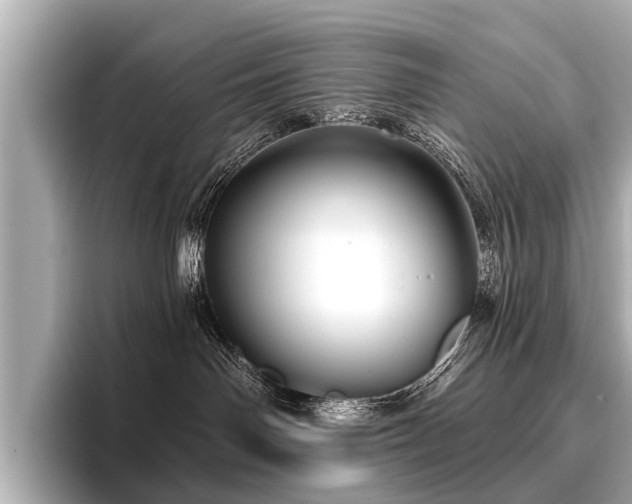 X0000096710142200802051429