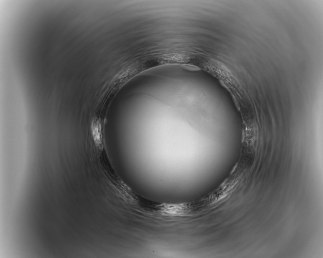 X0000096710143200802051429