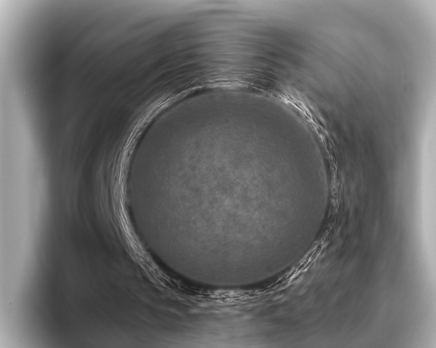 X0000096710145200802051429