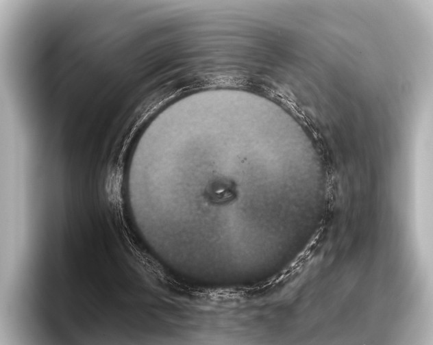 X0000096710146200802051429