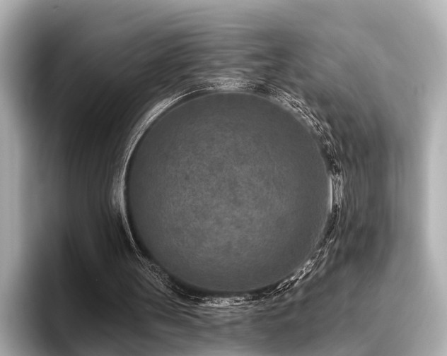 X0000096710147200802051429