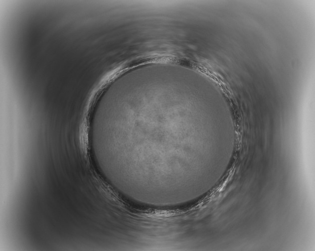 X0000096710149200802051429