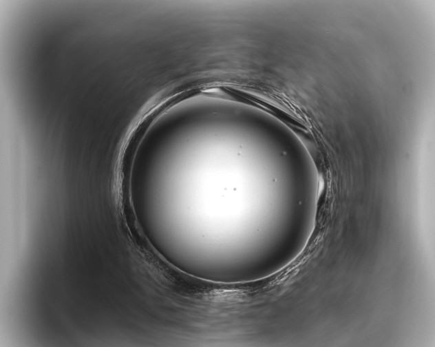 X0000096710150200802051429