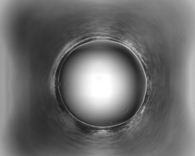 X0000096710151200802051429