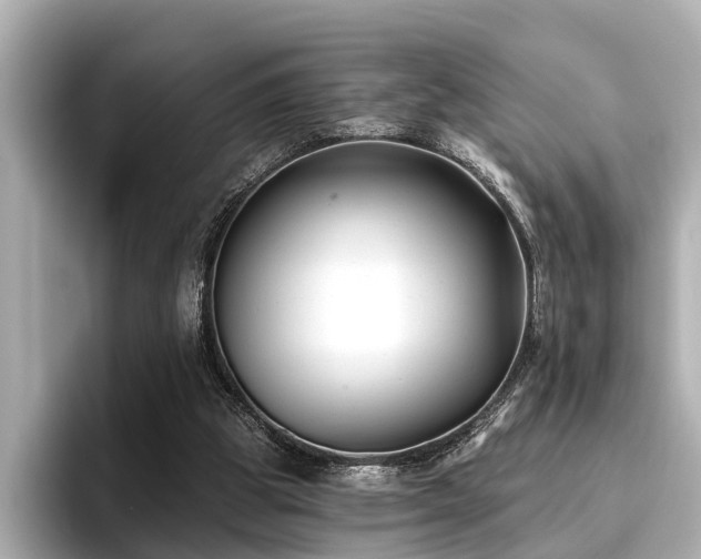 X0000096710153200802051429