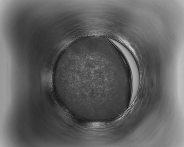 X0000096710154200802051429