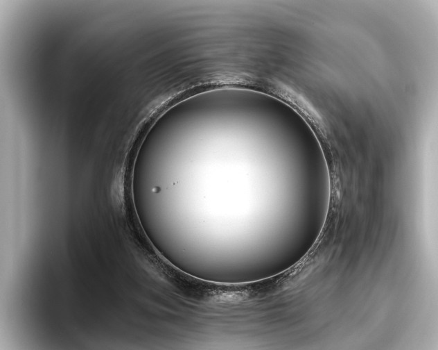 X0000096710155200802051429