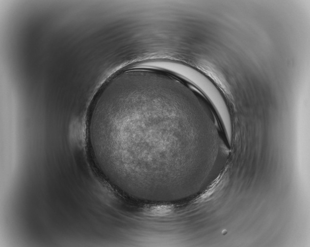 X0000096710156200802051429