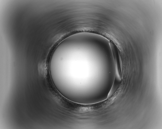 X0000096710160200802051429