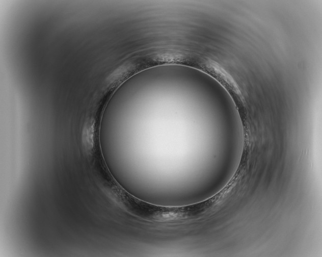 X0000096710163200802051429