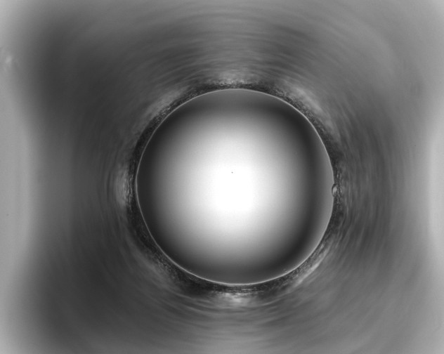 X0000096710164200802051429