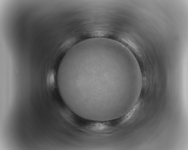 X0000096710166200802051429