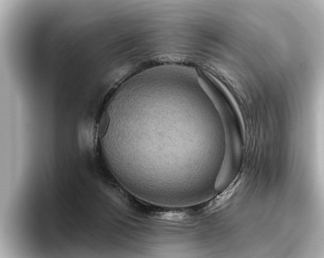 X0000096710168200802051429