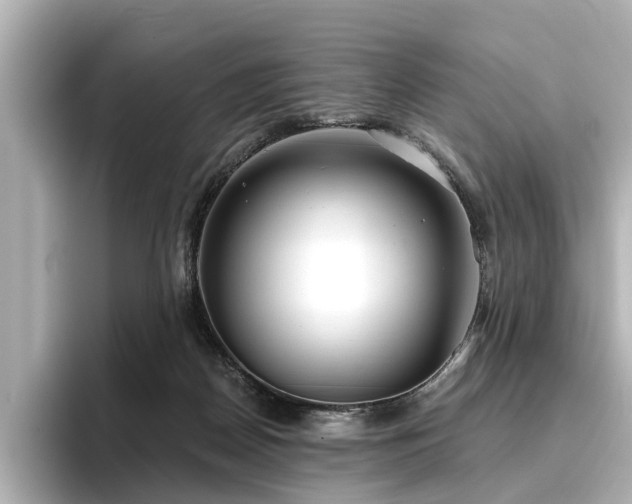 X0000096710170200802051429